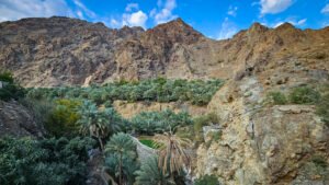 Read more about the article Wadi Shees Nature Trail: Complete Hiking Guide (2025)