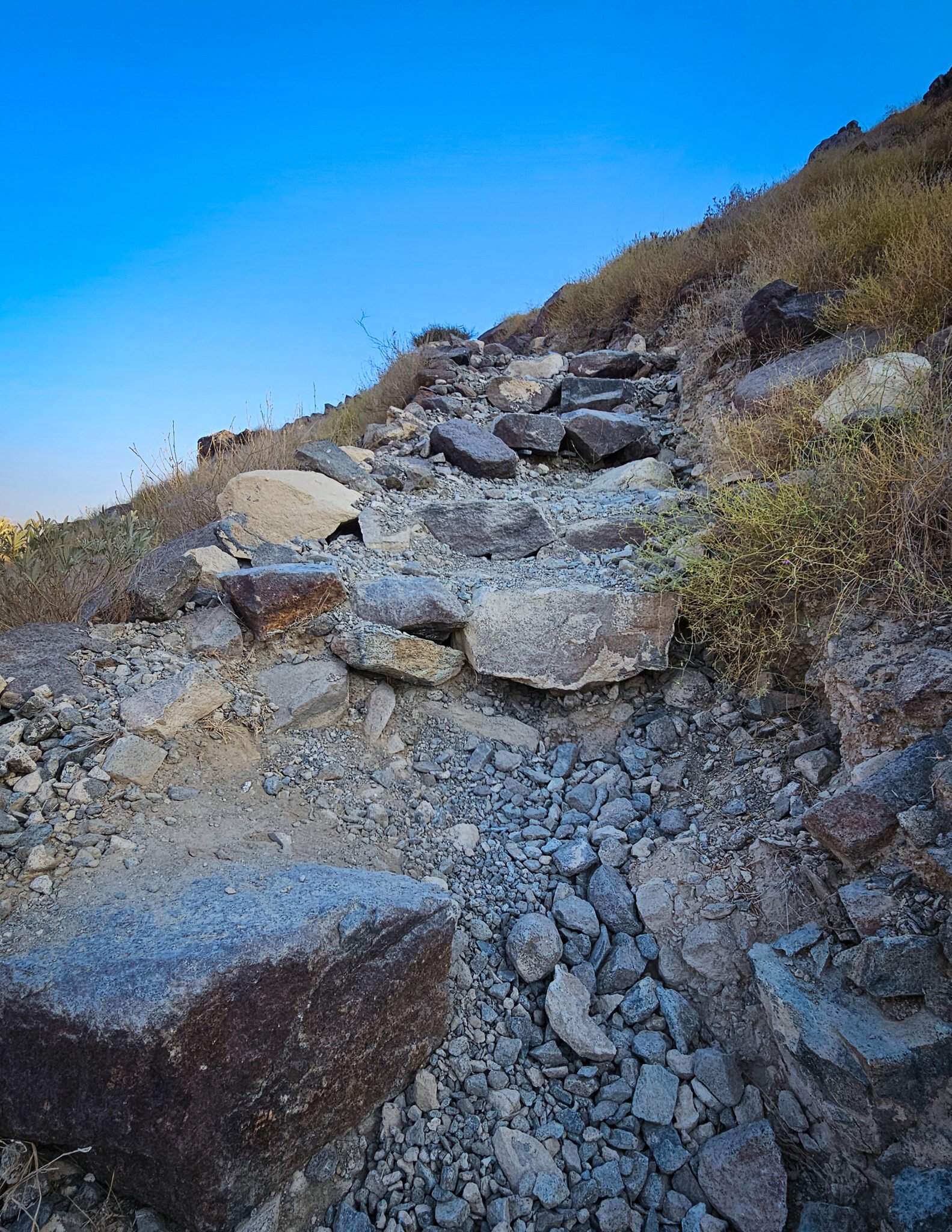 Steep rocky trail with large boulders and loose stones ascending through desert vegetation on mountain slope.