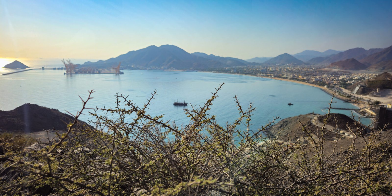 Sunrise panoramic view through thorny acacia branches showing bay waters, mountain ranges, port facilities, and distant island under golden morning light.